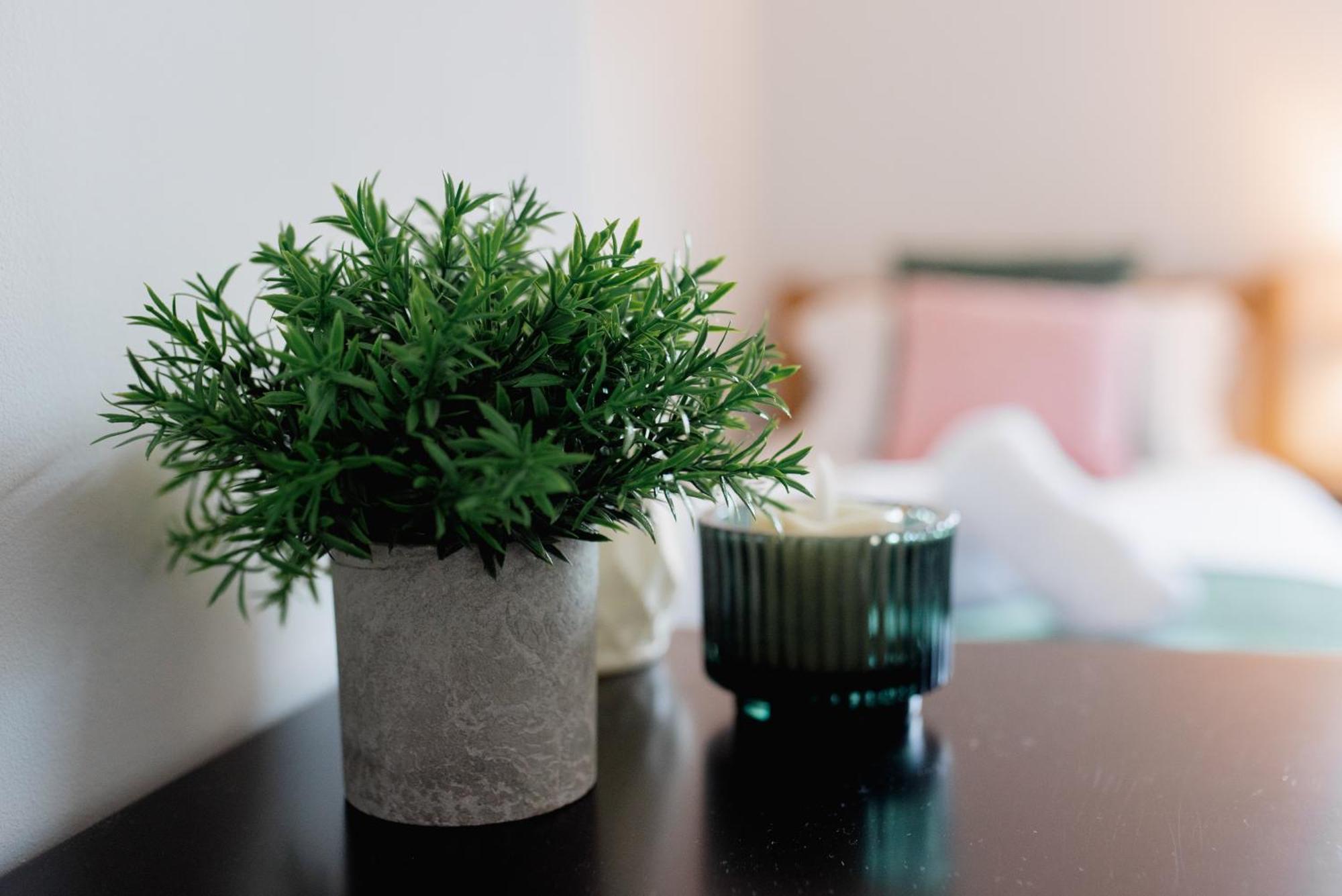 Bowling Terrace By Above Rubies - Stylish, 3 Bedroom, Pet Friendly House In 斯基普顿 外观 照片